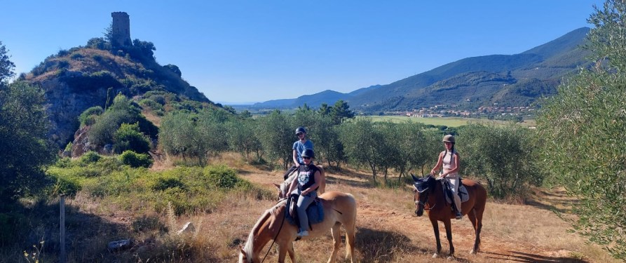 fantastiche escursioni a cavallo